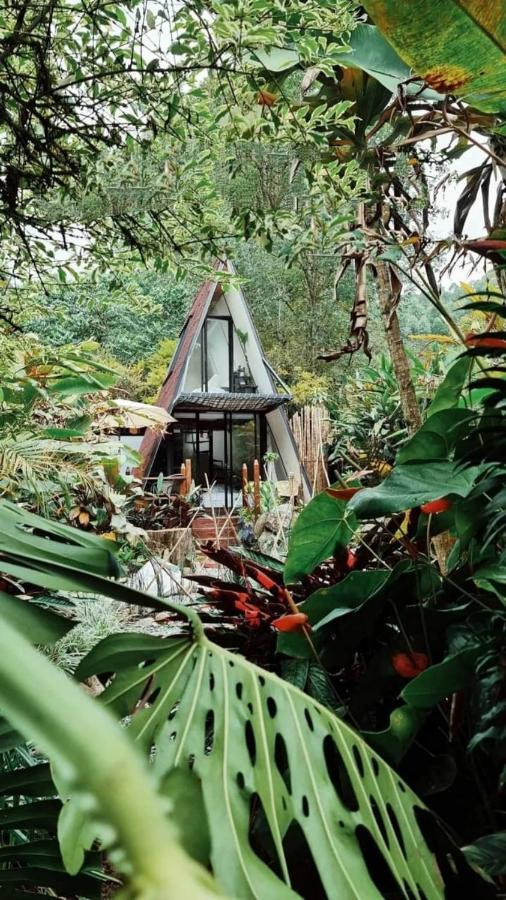 Glamping Salento Con Jacuzzi Climatizado Hotel ภายนอก รูปภาพ
